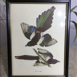 VTG American Magpie Print